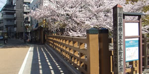 これまでの実績